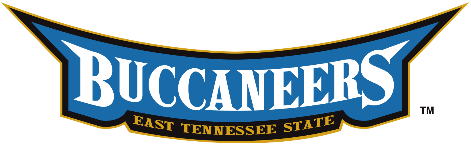 ETSU Buccaneers 2002-2013 Wordmark Logo v2 diy iron on heat transfer